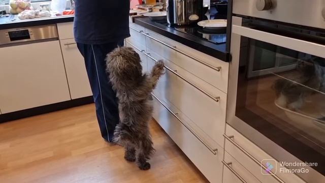 Варим борщ и жарим маслята в сливках смотреть онлайн