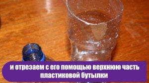 Как превратить пластиковую бутылку в мощное орудие против надоедливых ос на участке