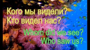 Кого мы видели? Кто видел нас?