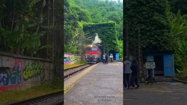 Заброшенная ж/д станция Псырцха в Новом Афоне. Поезд МОСКВА - СУХУМ ?#абхазия #абхазияновыйафон