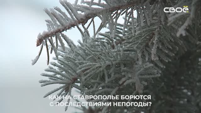 Капризы природы: как на Ставрополье борются с последствиями непогоды?