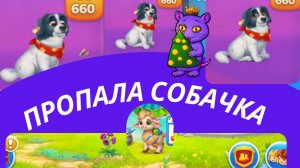 Пропала собачка по кличке Купата  Ёлочка 2024 | MAgIC SEAsONS qWwWq