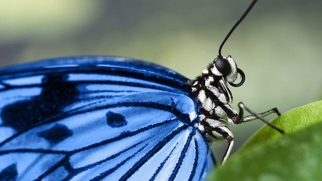 День 9 - 21 день изобилия - Медитация Дипака Чопры смотреть онлайн