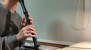 Kanaria - 【KING】 Recorder Cover