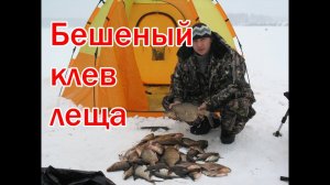 Ловля леща зимой Устье Соложи