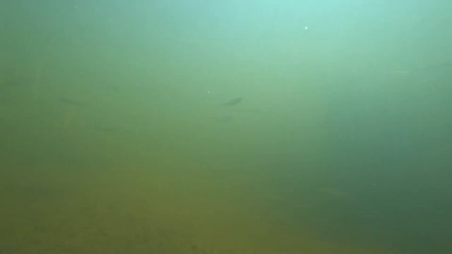 Sony FDR X 3000 !!! смотреть онлайн