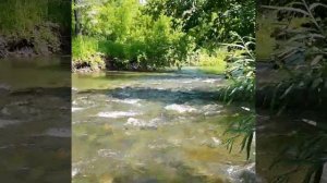 Алтайский край, Солонешенский район село Сибирячиха, река Сибирка