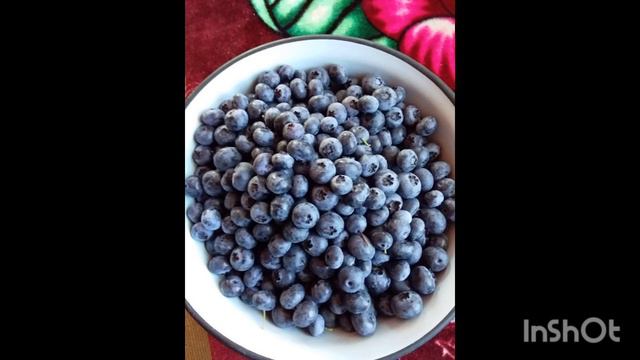 Чем отличаются черника и голубика? смотреть онлайн