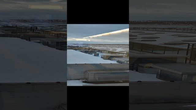 Экспофорум - вид сверху.