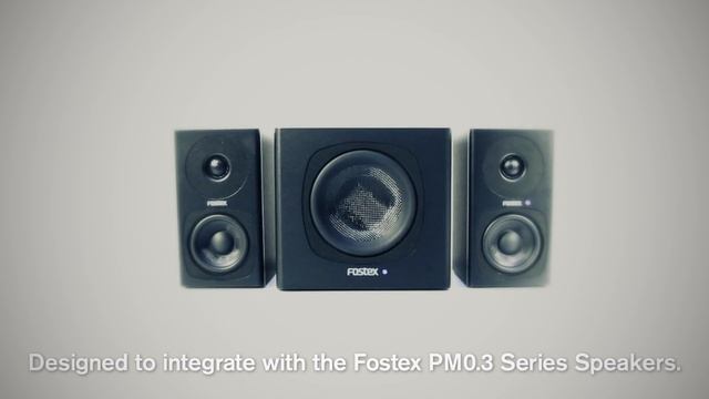 Fostex PM-SUBmini Active Subwoofer