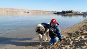 Мальчик и собака))) A Boy and his dog in Bautino