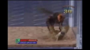 ВЕРСУС! ШЕРШЕНЬ ПРОТИВ СКОРПИОНА, ТАРАНТУЛА, БОГОМОЛА