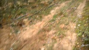 ОТКАПЫВАЕМ МЕДНЫЙ КАБЕЛЬ В ТАЙГЕ! Часть 2