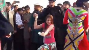 Туйи Афгани