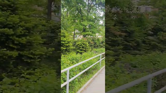 обзор 100-летие 62 смотреть онлайн