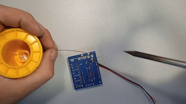 Китайская пищалка.