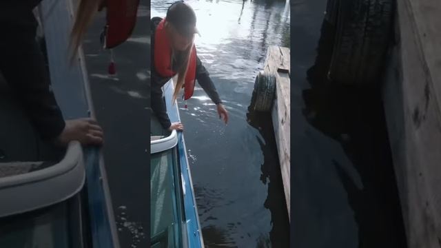 Как правильно швартовать лодку? Скоро на канале #VolgaBaits ? авторство: Вероника Дичка смотреть онлайн