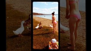 Озеро Гусиное #Гусиноозерск2018