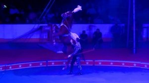 Цирк 2023 | Человек Ракета ? Мотоциклисты в Шаре ? Арабские Лошади ? Клоуны ?