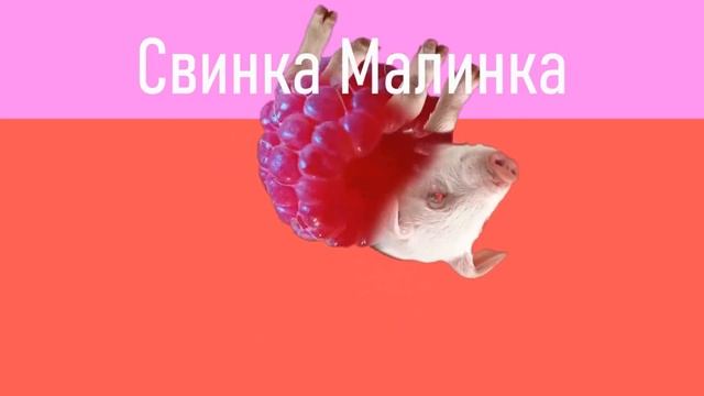 Мышка Сосиска, Крыска Ириска, Змейка Сарделька, Кот Бутерброд, Кошка Окрошка, Мышка Покрышка.