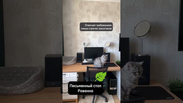 Как выглядит мебель «Вереск» в интерьере?