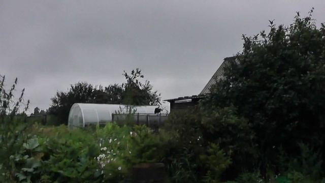 7.100 ДОЖДЕВЫЕ ВОДЫ, ПОСЛЕДСТВИЯ ДЛЯ ДОМА, ОБЗОР ч1 смотреть онлайн