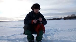 Янишполе и компания.