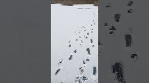 Рыбацкий стаканчик