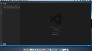 Running  C/C++ program in Visual Studio Code on Mac OS X Catalina