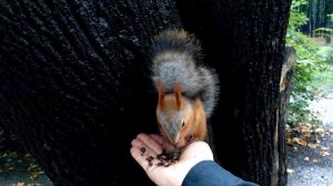 да подожди ты!