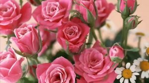 Поздравление с восьмым марта на трех языках