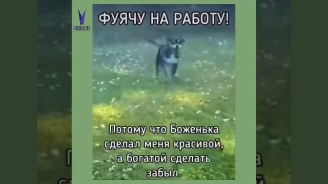 Всем отличных выходных ??