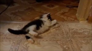 ДЮНА - в траве сидел кузнечик..................