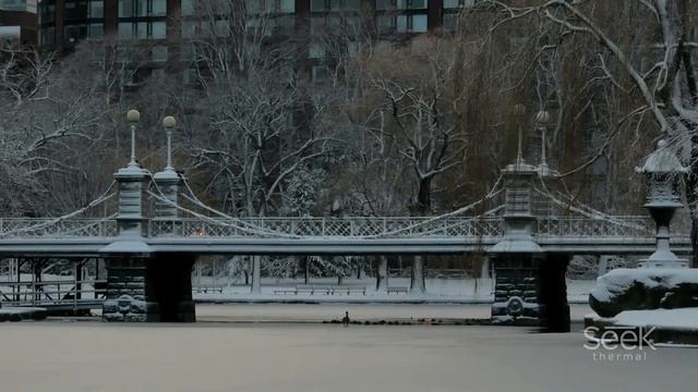 Seek Thermal Compact Smartphone Thermal Camera - Contractor Story смотреть онлайн