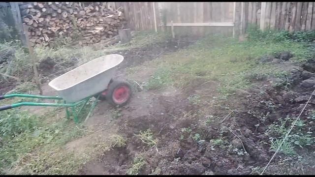 Начало строительства гаража во дворе деревенского дома, плюс пересадка помидорного куста смотреть онлайн