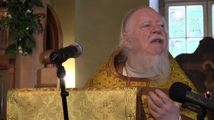 Проповедь на 5-ю неделю по Пятидесятнице (5 июля 2015 года). Дмитрий Смирнов