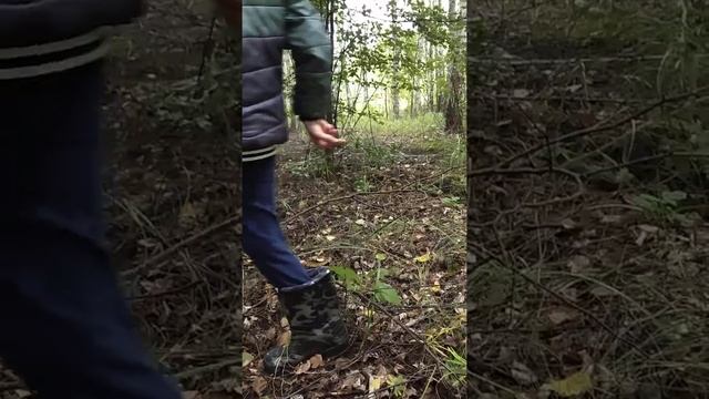 Грибники смотреть онлайн