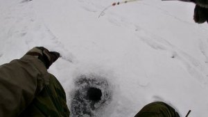 Правильный подход к плохому клёву