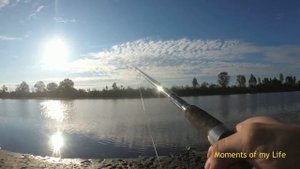 Чаус, рыбалка на Чаусе, активный клев карася осенью