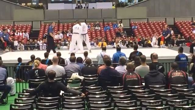 САРХОШЯН ДАВИД - АБСОЛЮТНЫЙ ЧЕМПИОНАТ МИРА КЁКУСИНКАЙ 2015