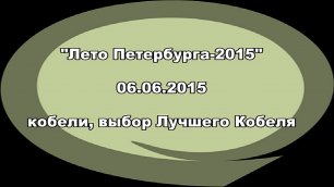 монопородная выставка шелти ранга ПК _Лето Петербурга_ 6 июня 2015 года.mp4