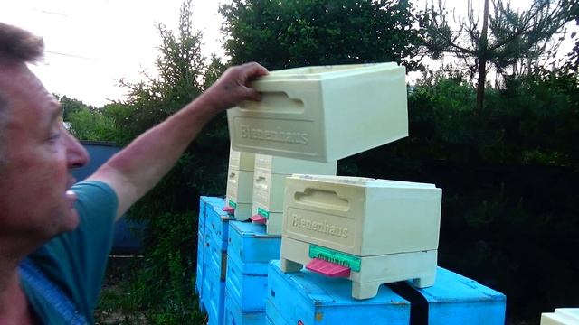 НОВИНКА Нуклеус Биненхаус