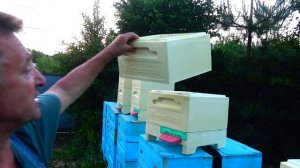 НОВИНКА Нуклеус Биненхаус