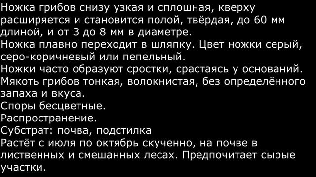 Псевдовороночник извилистый Pseudocraterellus undulatus Видео определитель Описание Съедобность