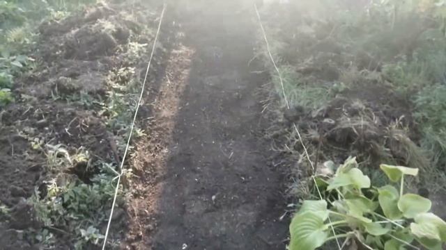 садовые дорожки из строительного хлама в станице дома смотреть онлайн