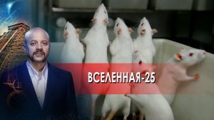 Вселенная-25. Загадки человека с Олегом Шишкиным. (17.02.2022).