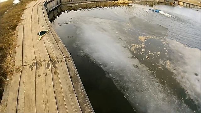 Ловля прудовой форели Рыбхоз Гжелка блесна и не только