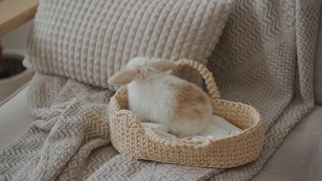 Как поднять себе настроение смотреть онлайн