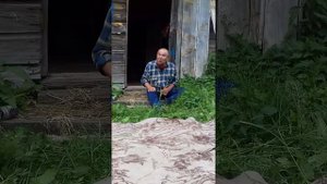 Просто Ялта (Миша Комаров с. Польное Ялтуново)