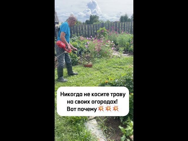 Никогда не косите траву на своем дачном участке! Вот почему! смотреть онлайн
